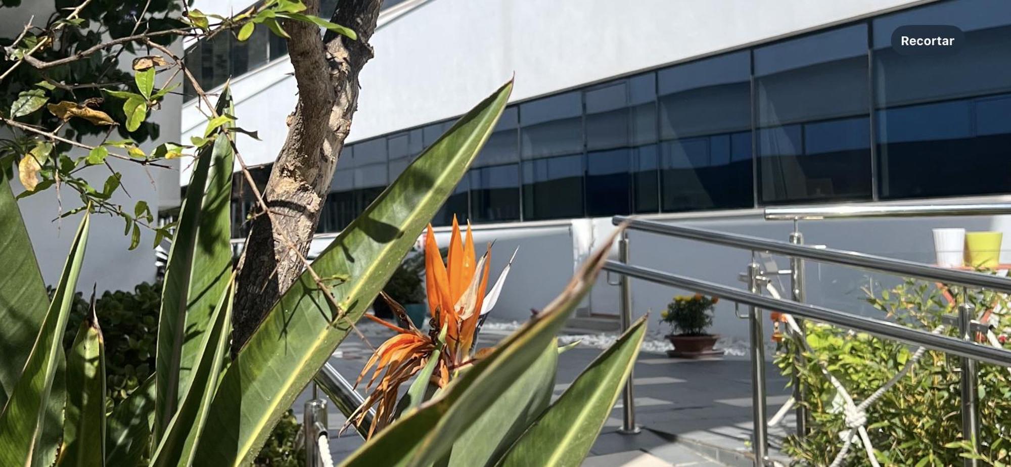 Ancla Real Apartamentos Loft El Puerto de Santa María Exterior foto